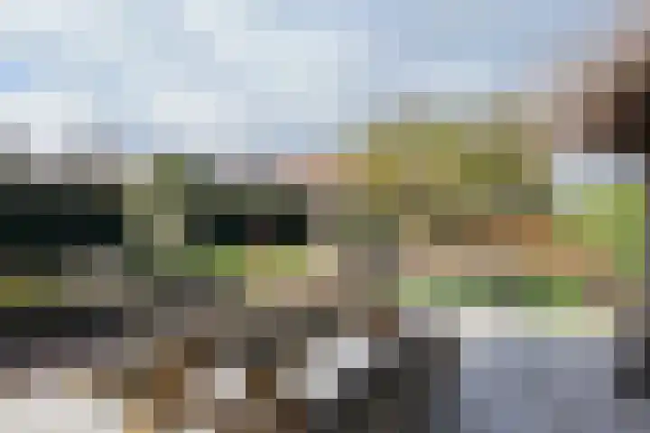 Wilhelminastraat 25 Fijnaart thumbnail 60