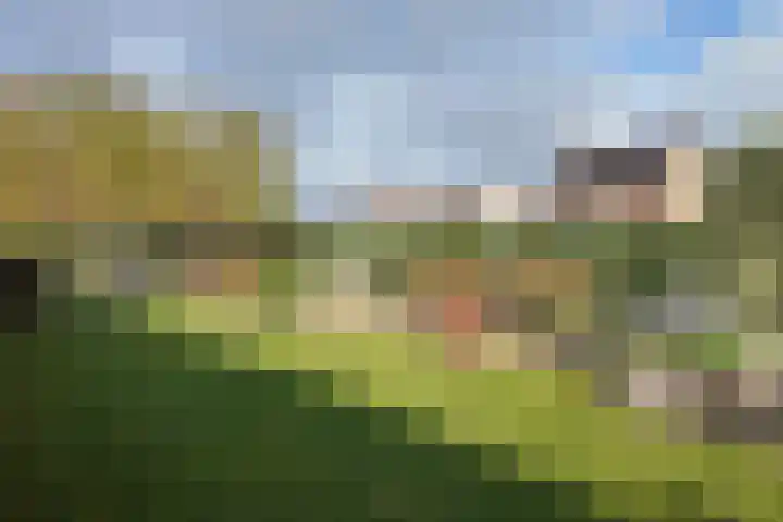 Wilhelminastraat 25 Fijnaart thumbnail 62