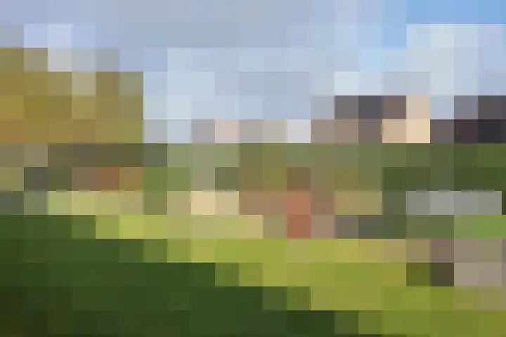Wilhelminastraat 25 Fijnaart thumbnail 63