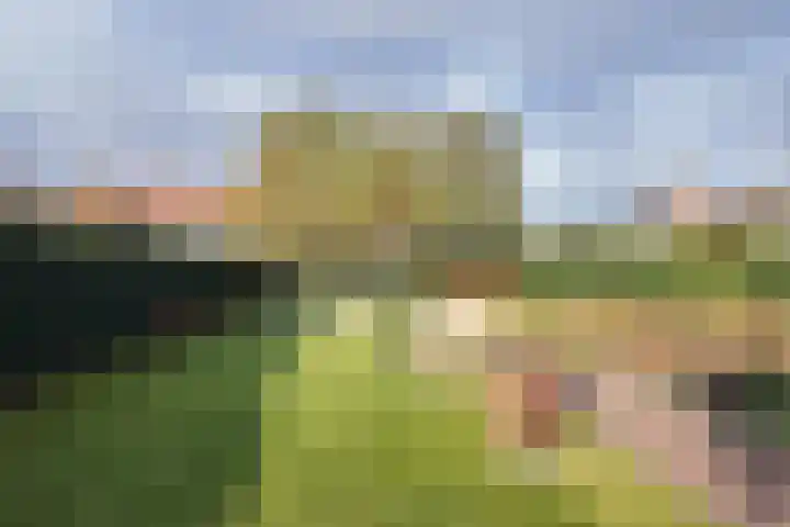 Wilhelminastraat 25 Fijnaart thumbnail 64