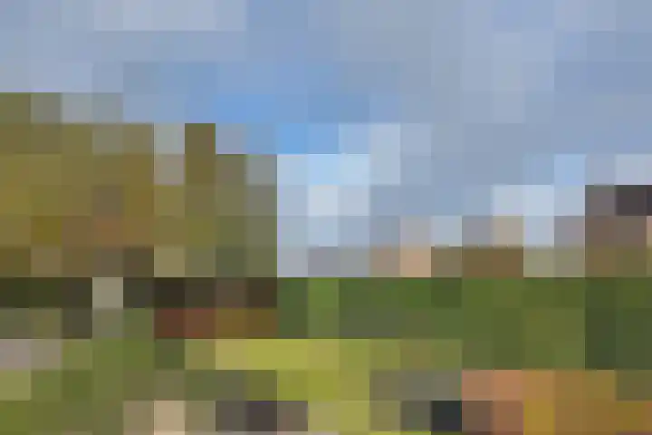 Wilhelminastraat 25 Fijnaart thumbnail 65