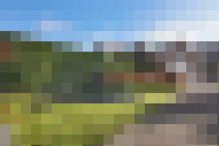 Wilhelminastraat 25 Fijnaart thumbnail 66