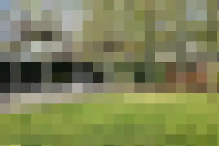 Wilhelminastraat 25 Fijnaart thumbnail 67