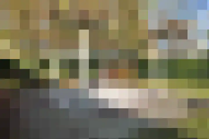 Wilhelminastraat 25 Fijnaart thumbnail 68