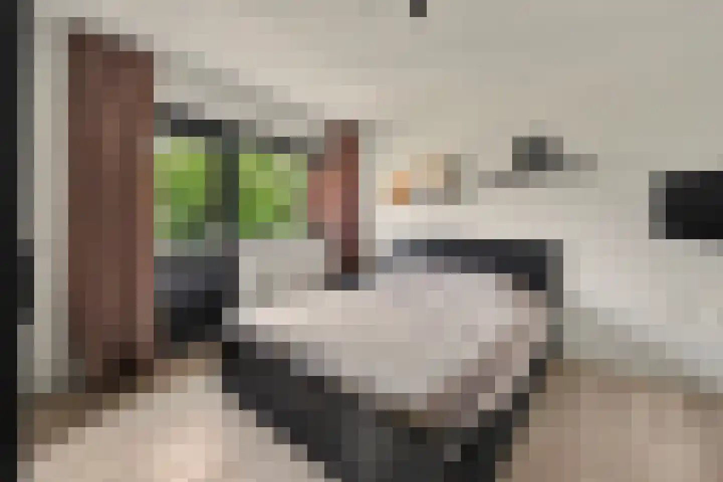 Wilhelminastraat 25 Huissen thumbnail 17