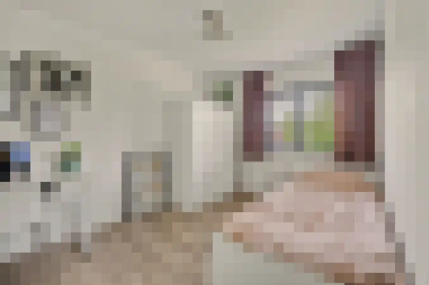 Wilhelminastraat 25 Huissen thumbnail 19