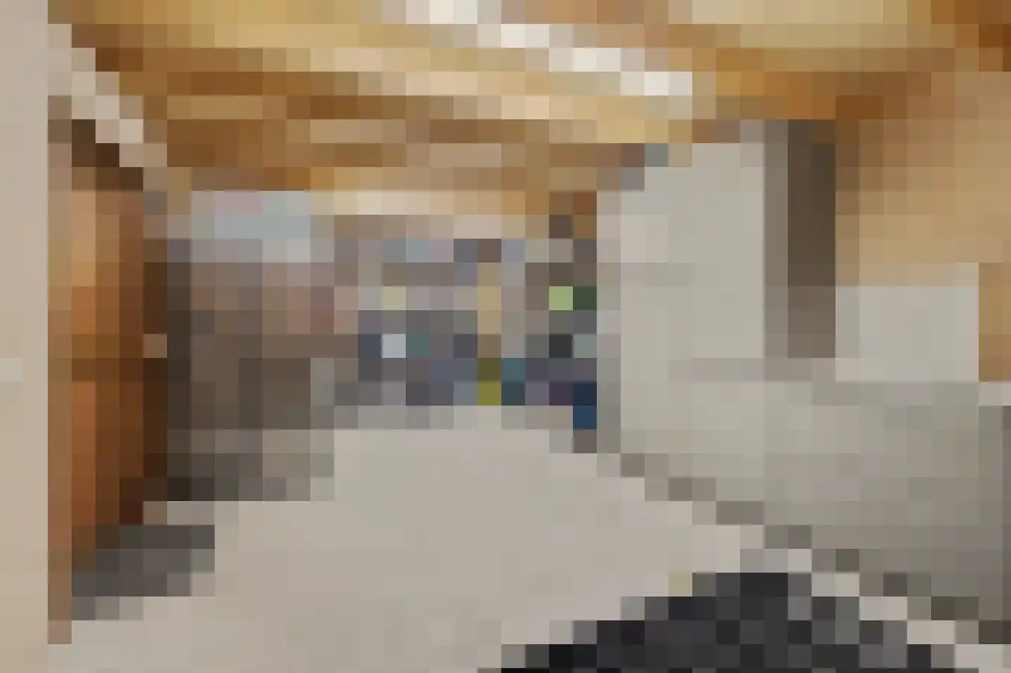 Wilhelminastraat 25 Huissen thumbnail 28