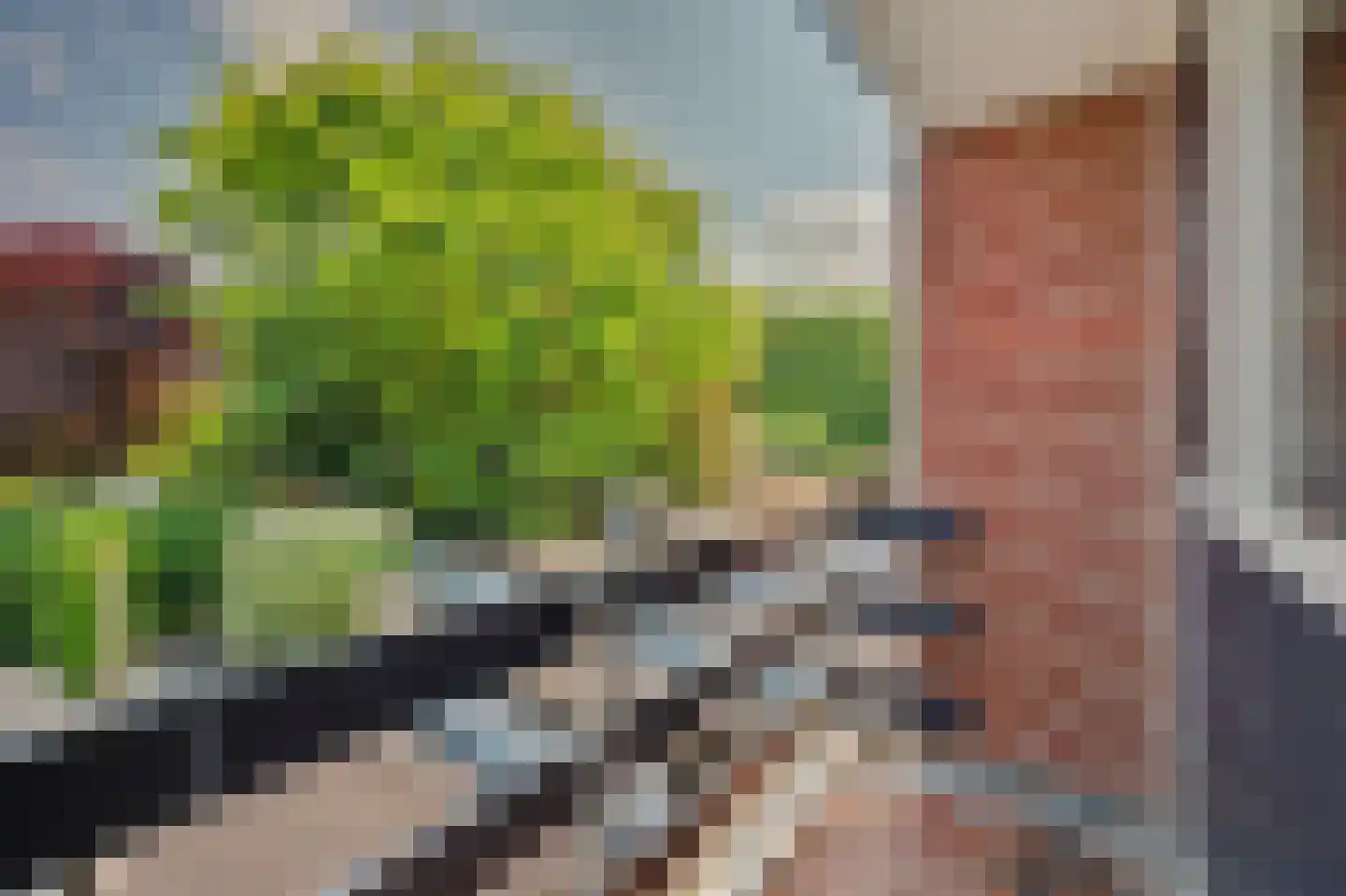 Wilhelminastraat 25 Huissen thumbnail 30