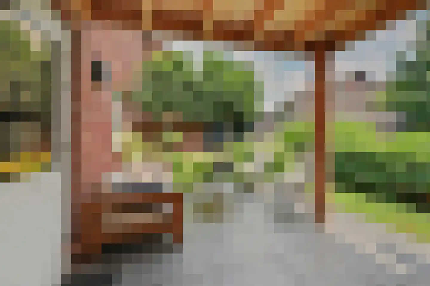 Wilhelminastraat 25 Huissen thumbnail 32
