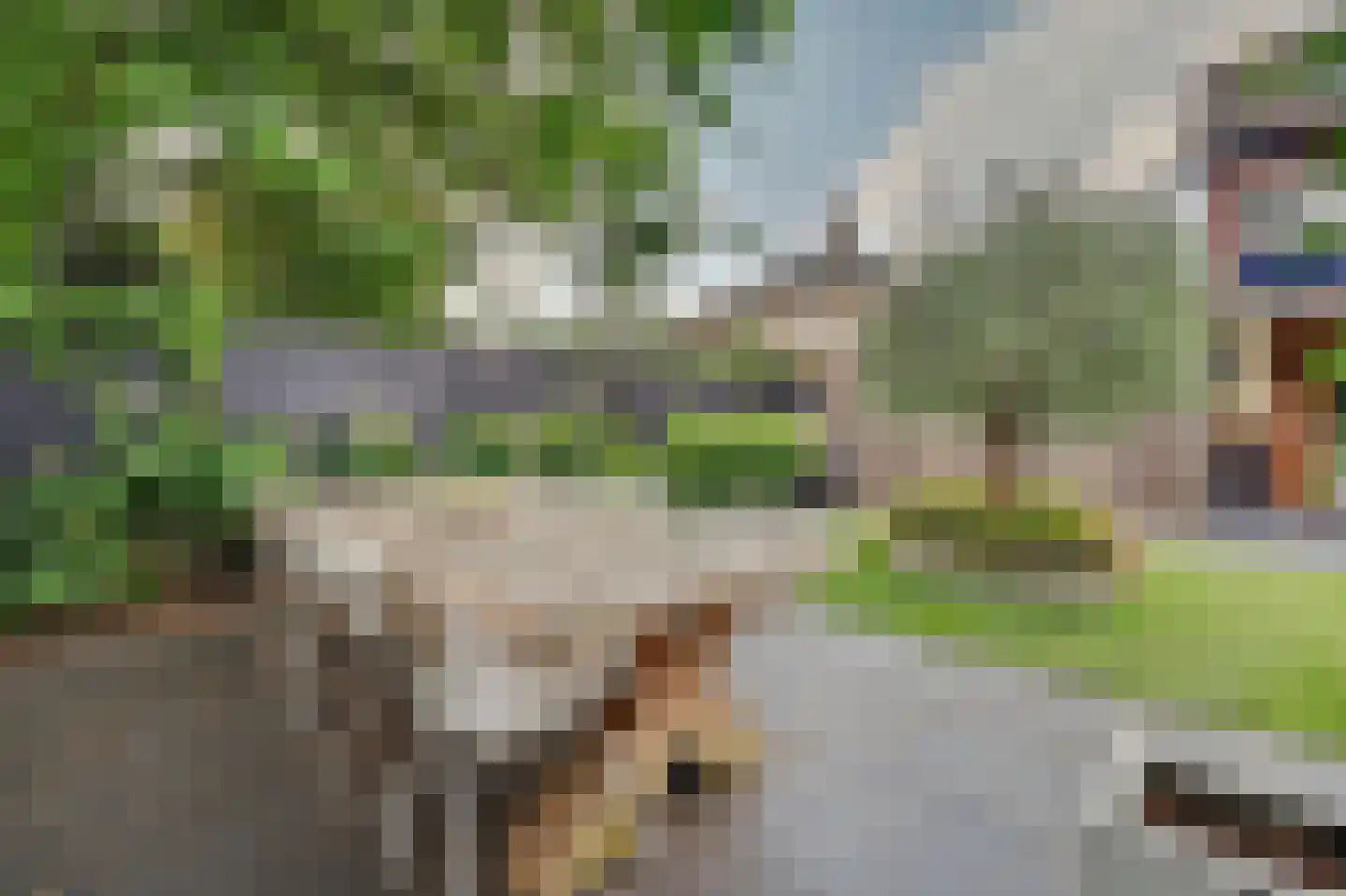 Wilhelminastraat 25 Huissen thumbnail 34
