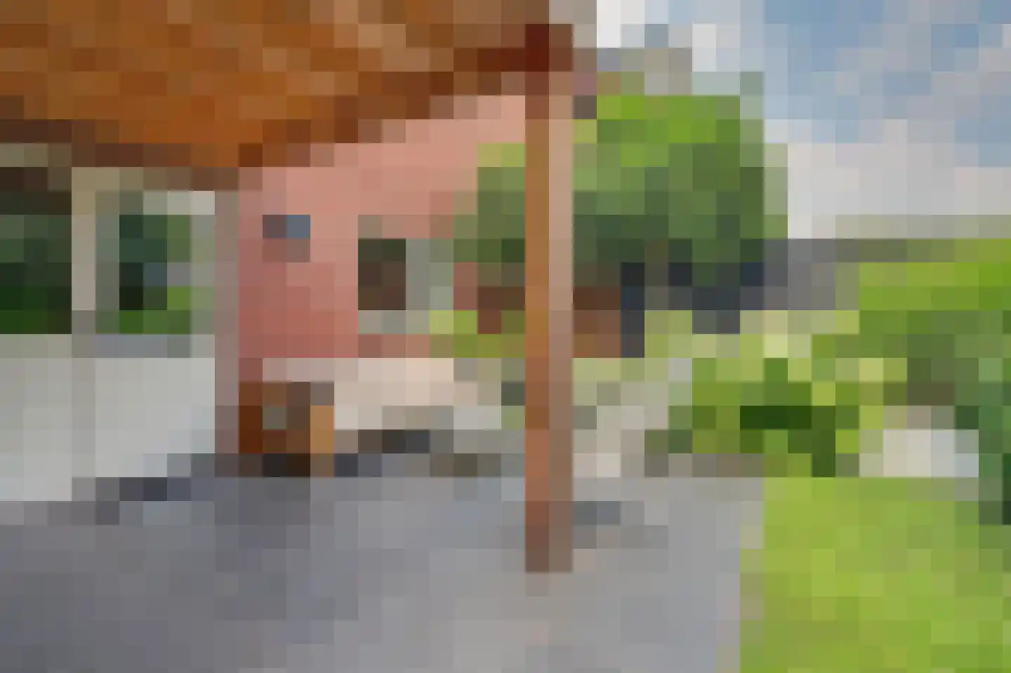 Wilhelminastraat 25 Huissen thumbnail 36