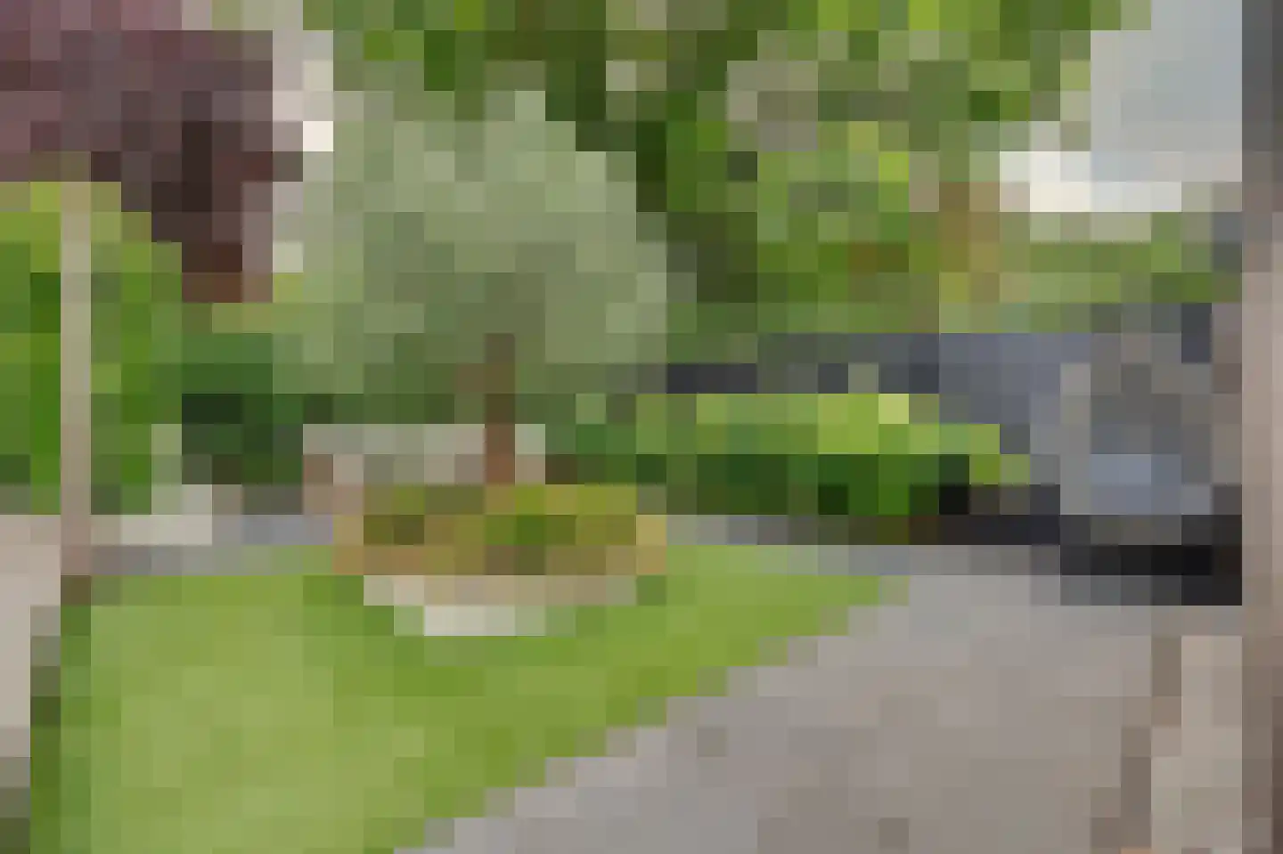 Wilhelminastraat 25 Huissen thumbnail 37