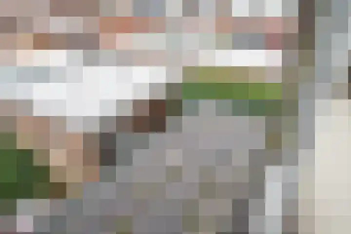 Wilhelminastraat 26 Berkel en Rodenrijs thumbnail 21