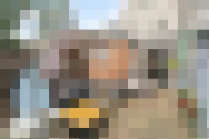 Wilhelminastraat 26 Capelle aan den IJssel thumbnail 26