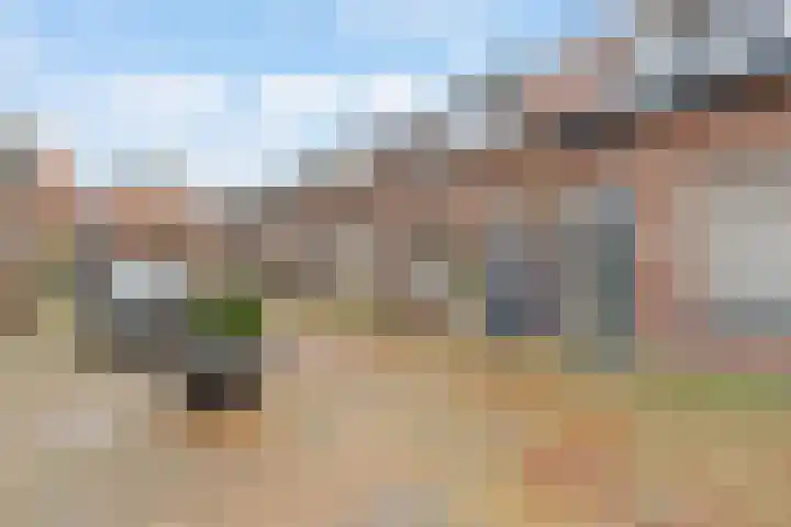 Wilhelminastraat 26 Capelle aan den IJssel thumbnail 27