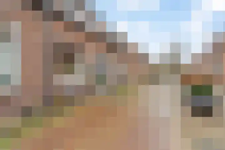 Wilhelminastraat 26 Capelle aan den IJssel thumbnail 30