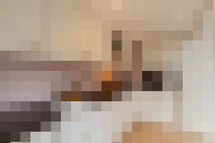 Wilhelminastraat 26 Capelle aan den IJssel thumbnail 9