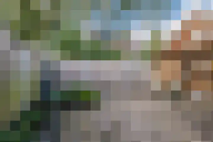 Wilhelminastraat 26 Meppel thumbnail 33