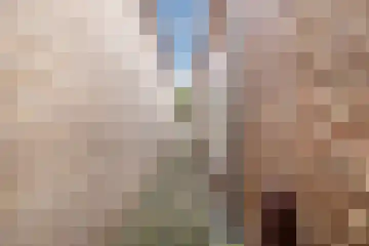 Wilhelminastraat 26 Meppel thumbnail 38