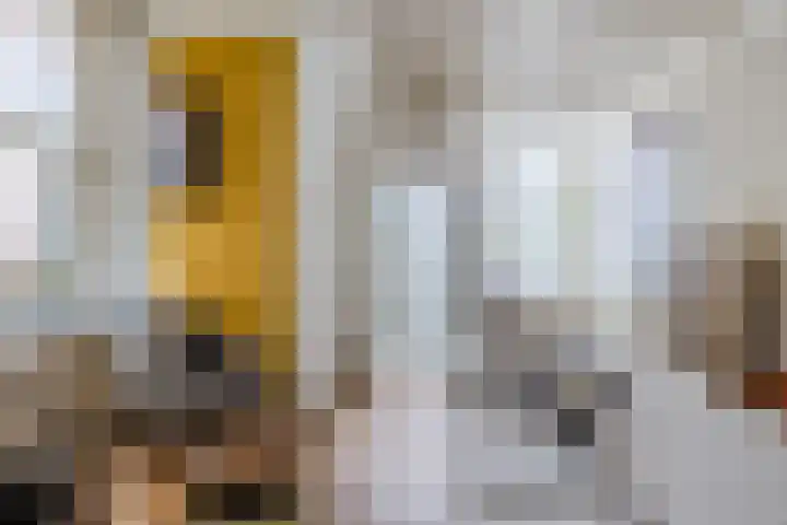 Wilhelminastraat 26 Meppel thumbnail 7