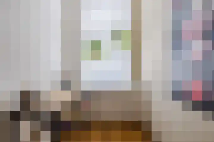 Wilhelminastraat 26 Meppel thumbnail 9