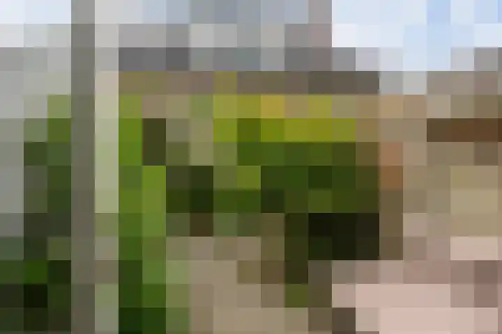 Wilhelminastraat 26 Vlaardingen thumbnail 15