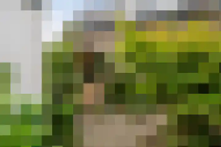 Wilhelminastraat 26 Vlaardingen thumbnail 16