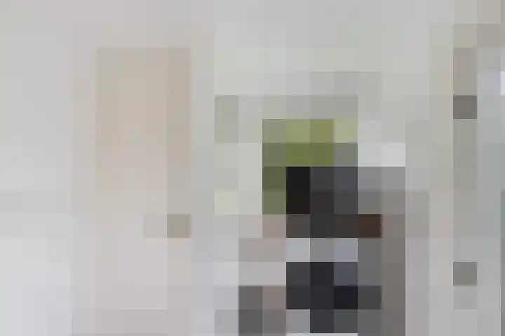 Wilhelminastraat 26 Vlaardingen thumbnail 22