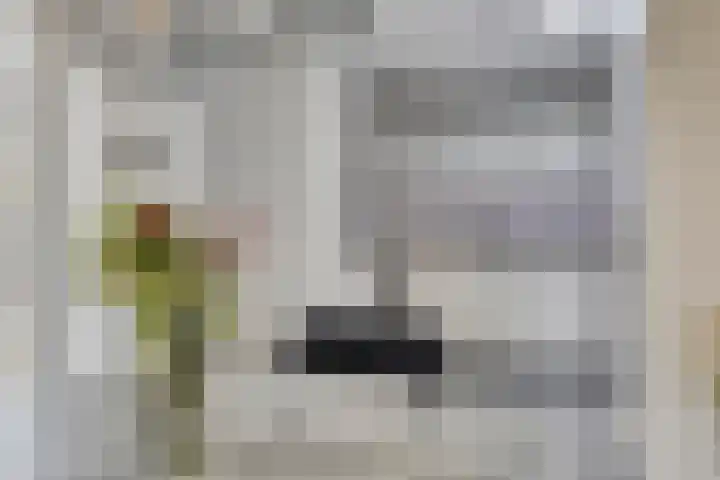 Wilhelminastraat 26 Wemeldinge thumbnail 16