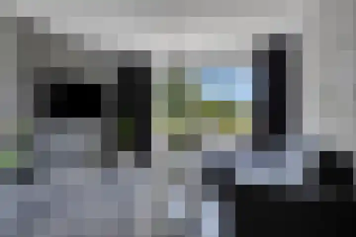 Wilhelminastraat 26 Wemeldinge thumbnail 25