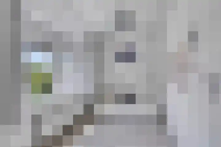 Wilhelminastraat 26 Wemeldinge thumbnail 33