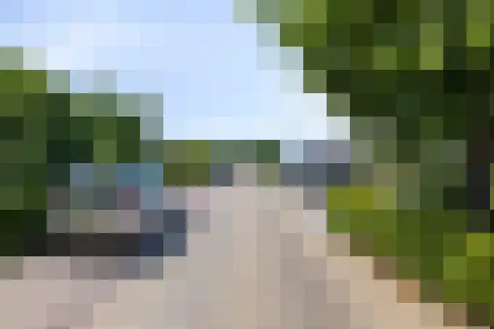 Wilhelminastraat 26 Wemeldinge thumbnail 43