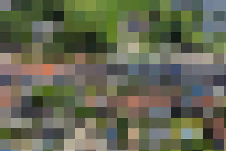 Wilhelminastraat 26 Wemeldinge thumbnail 44