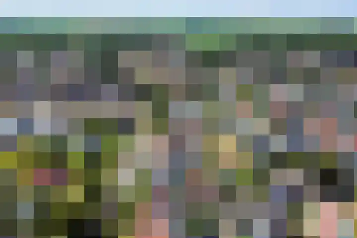 Wilhelminastraat 26 Wemeldinge thumbnail 45