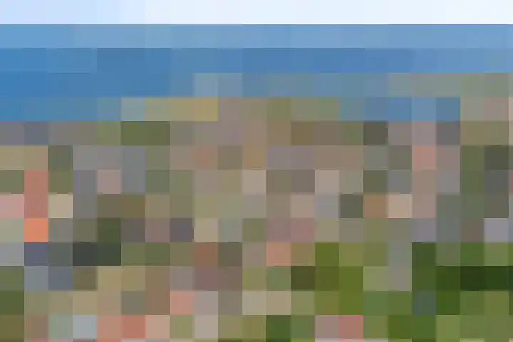 Wilhelminastraat 26 Wemeldinge thumbnail 47