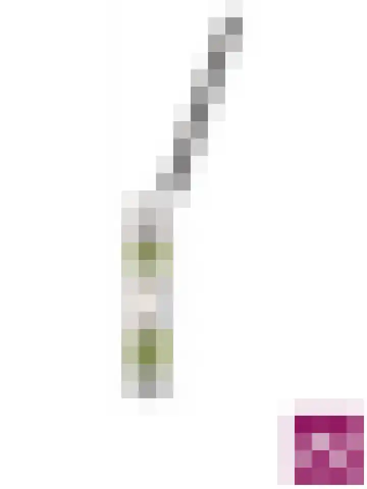 Wilhelminastraat 26 Wemeldinge thumbnail 50