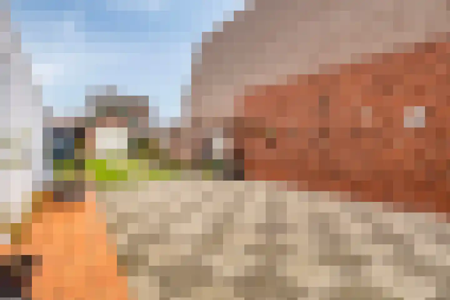 Wilhelminastraat 26 Westdorpe thumbnail 28
