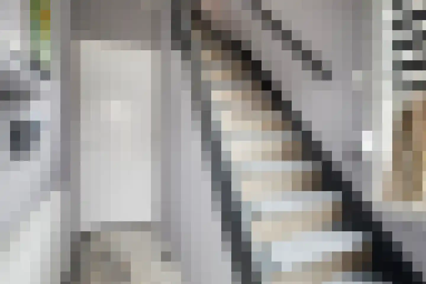 Wilhelminastraat 26 Westdorpe thumbnail 8