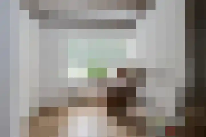 Wilhelminastraat 27 Dinxperlo thumbnail 16