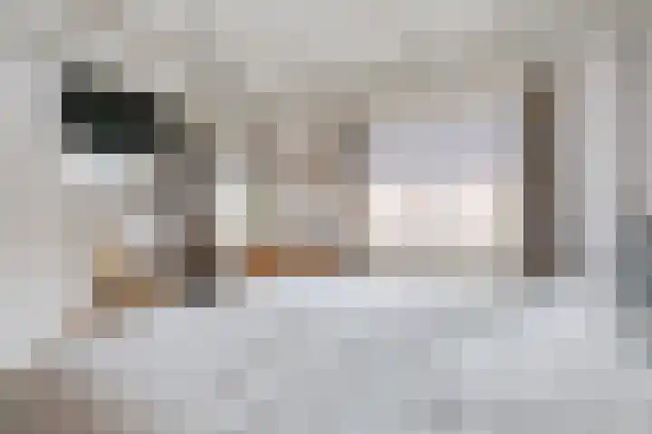 Wilhelminastraat 27 Dinxperlo thumbnail 27