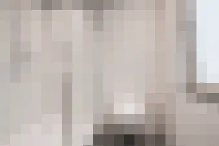 Wilhelminastraat 27 Dinxperlo thumbnail 31