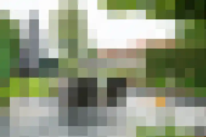 Wilhelminastraat 27 Dinxperlo thumbnail 39