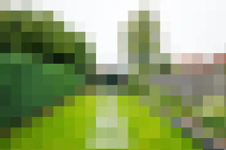 Wilhelminastraat 27 Dinxperlo thumbnail 41