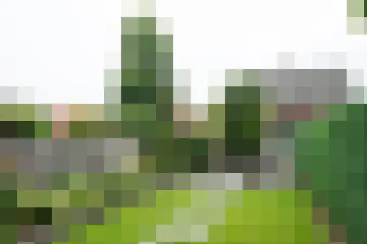 Wilhelminastraat 27 Dinxperlo thumbnail 43
