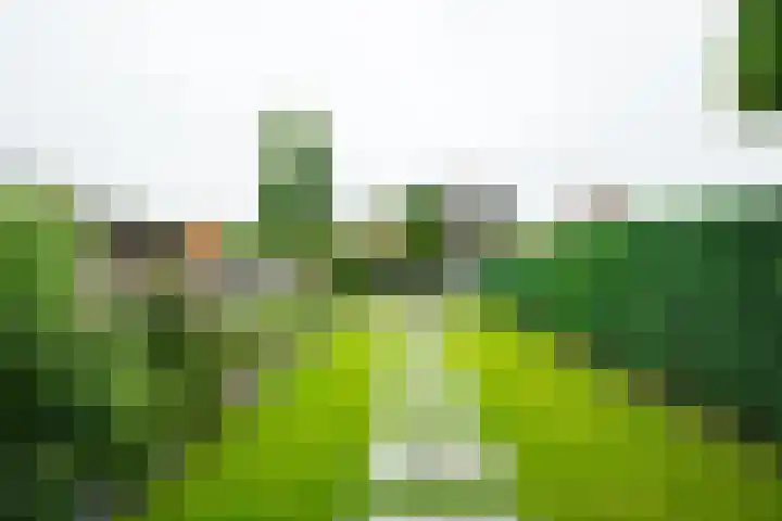 Wilhelminastraat 27 Dinxperlo thumbnail 44