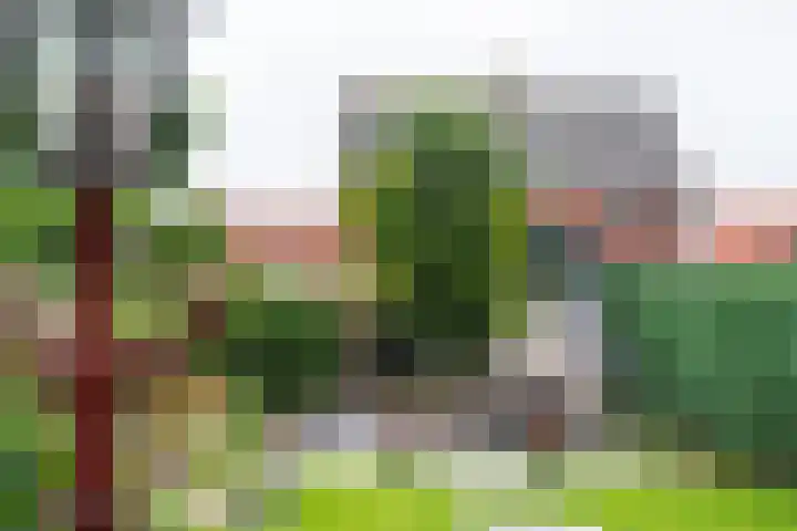 Wilhelminastraat 27 Dinxperlo thumbnail 45