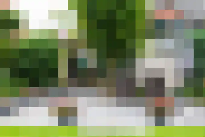 Wilhelminastraat 27 Dinxperlo thumbnail 46