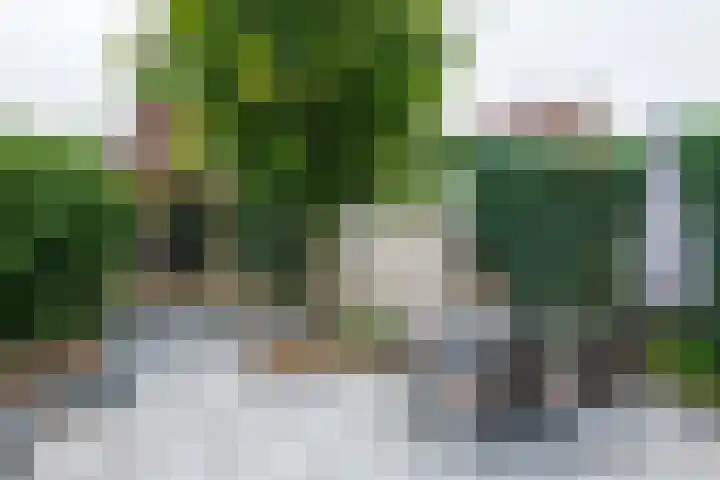Wilhelminastraat 27 Dinxperlo thumbnail 47