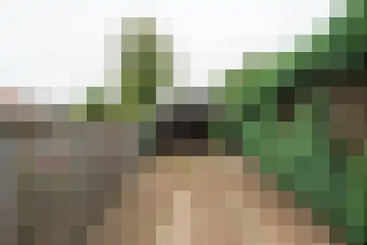 Wilhelminastraat 27 Dinxperlo thumbnail 49