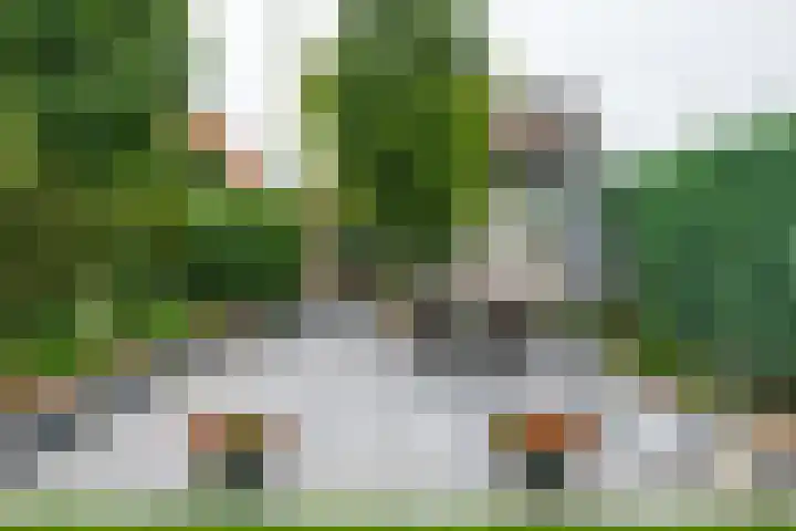 Wilhelminastraat 27 Dinxperlo thumbnail 5